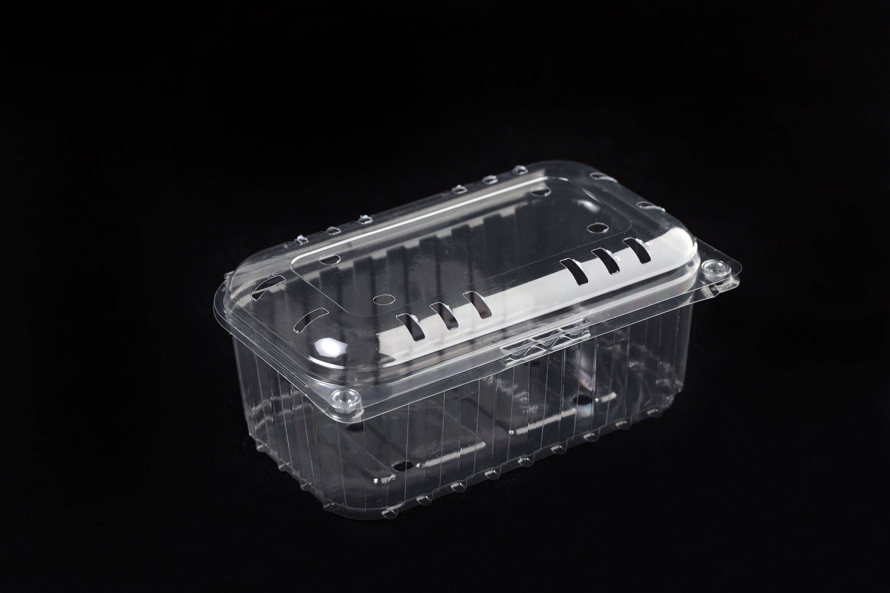 Fruit container
